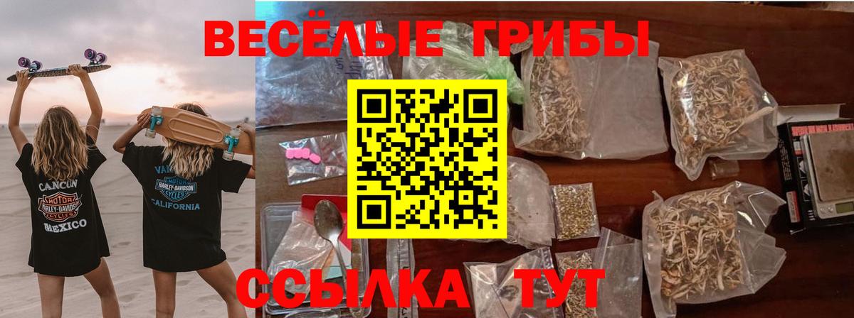 Галлюциногенные грибы мицелий Киржач