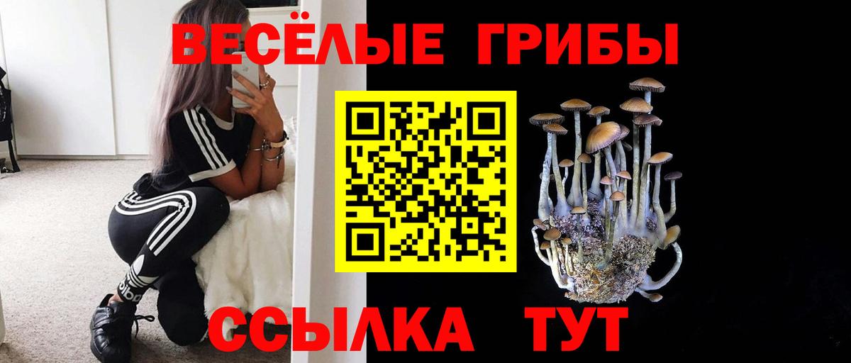 Киржач  Псилоцибиновые грибы Psilocybine cubensis  магазин продажи   Вход с VPN 